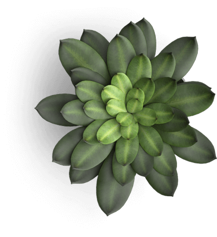 1616284800000_plant2.png